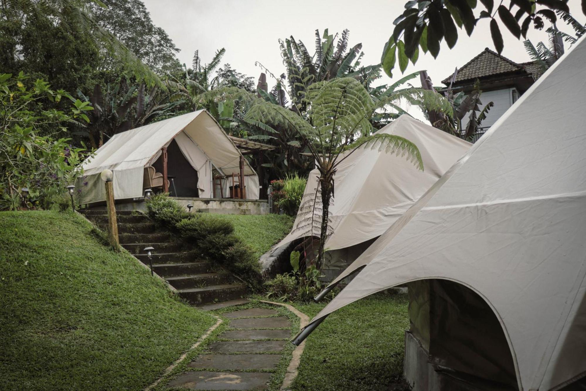 Alamu Eco Lodge Bedugul  Exterior foto