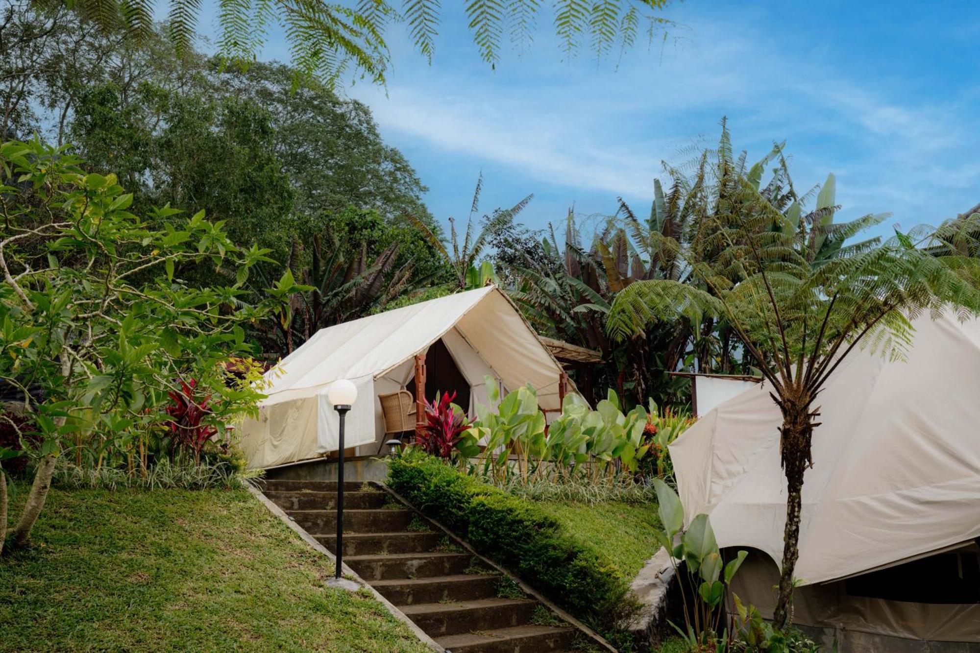 Alamu Eco Lodge Bedugul  Exterior foto